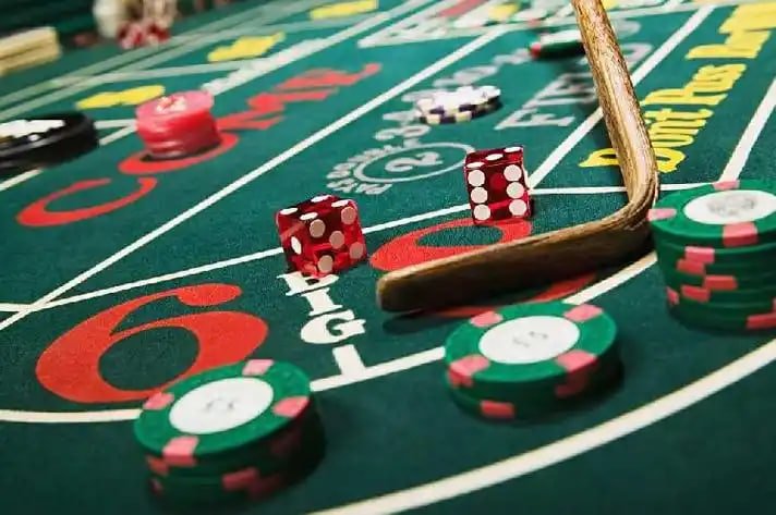 5567 bet app