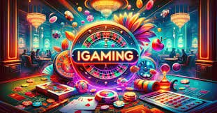 5567 bet app