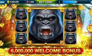 5567 bet app