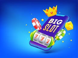 5567 bet app