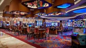 5567 bet app