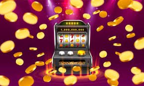 5567 bet app