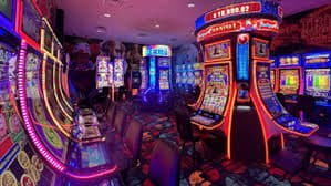 5567 bet app