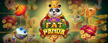 5567 bet app