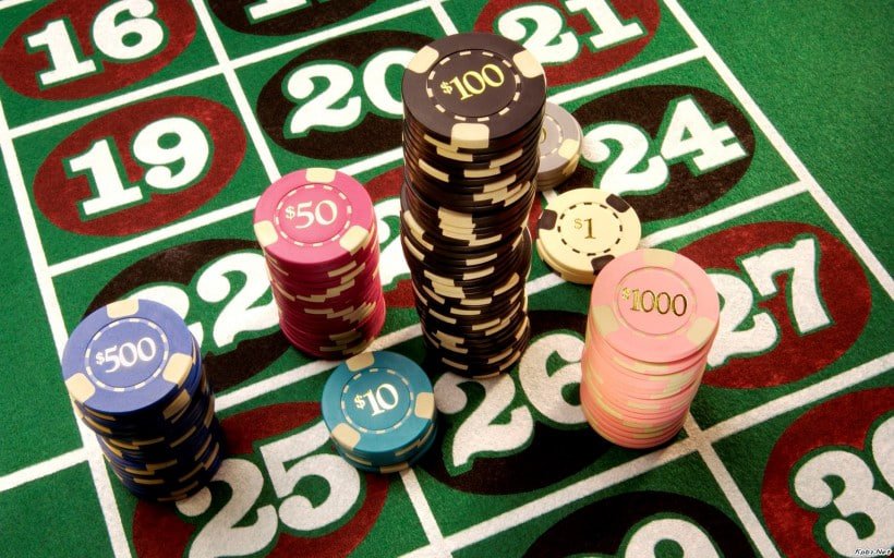 5567 bet app